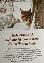 IMG_4130.jpeg