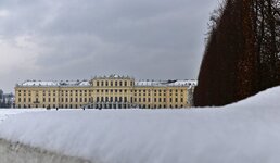 DSC_3310.jpg