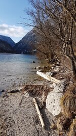 20180205_144655.jpg