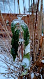 20260113_074709.jpg