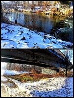 Collage_20260113_173357075.jpg