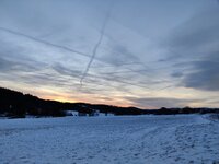 IMG_20260101_161624.jpg