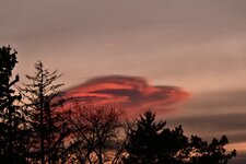 DSC_3611.jpg