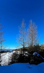 20260114_132404.jpg