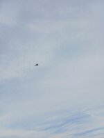20251127 (18).jpg