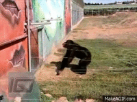 1000058622.gif