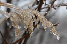DSC_3968.jpg