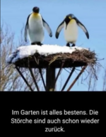 Screenshot 2026-01-14 101905.png