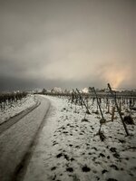 IMG_5400.jpeg
