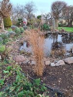 20260117_160853.jpg