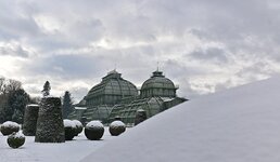 DSC_3236.jpg