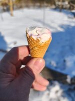 IMG_20260119_130458.jpg