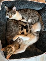 IMG_0538.jpeg