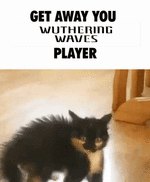 IMG_0956.gif