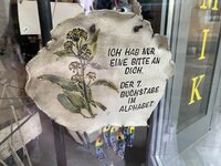 IMG_5931.jpeg