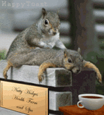 49365.gif