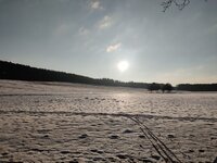 IMG_20260118_153122.jpg