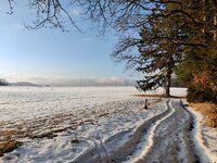 IMG_20260118_153132.jpg