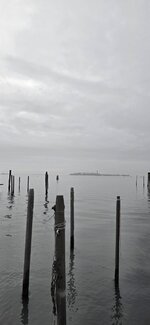 20260123_084647.jpg
