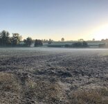 IMG_1014.jpeg