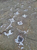 20260125_113339.jpg