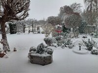 20260126_092420.jpg