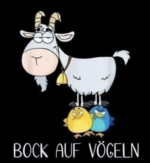 Bock auf vögeln Bildschirmfoto 2024-04-04 um 11.39.12.png