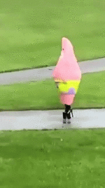 IMG_1074.gif