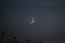 Mond1711-1.jpg