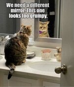 Guten Morgen d8a3b1d.jpg