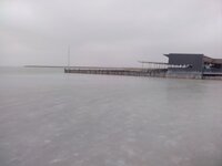 IMG_20260131_144603.jpg IMG_20260131_144603.jpg