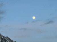 IMG_2788.jpeg