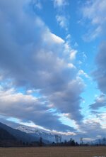 20260203_075711.jpg
