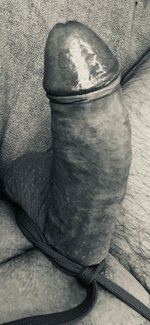 IMG_1726.jpeg