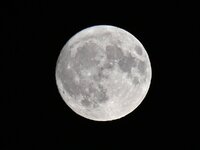 DSC_1290.jpg