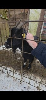 Screenshot_20260205_153623_Gallery.jpg