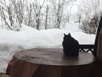 _1412056.JPG