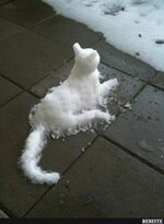 Schneecat.jpeg