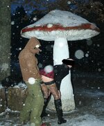 Glückspilz im Schnee.jpg