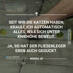 seit-wir-Katze-haben-h.jpg