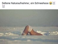 selteneNaturaufnahme-h.jpg