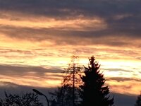 IMG_20260210_170358.jpg