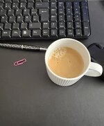 IMG_2911.jpeg