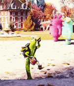 IMG_1232.gif