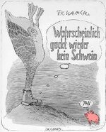 X FK Waechter - Schwein.jpg