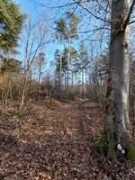 20260210_153314.jpg