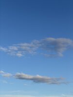 IMG_2987.jpeg