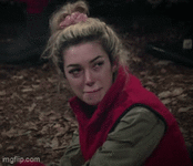 ariel.gif