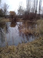 IMG_20260214_152912.jpg