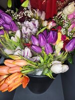 IMG_20260214_192338.jpg